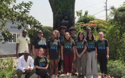 Houston Zoo Crew Works with Gorilla Doctors