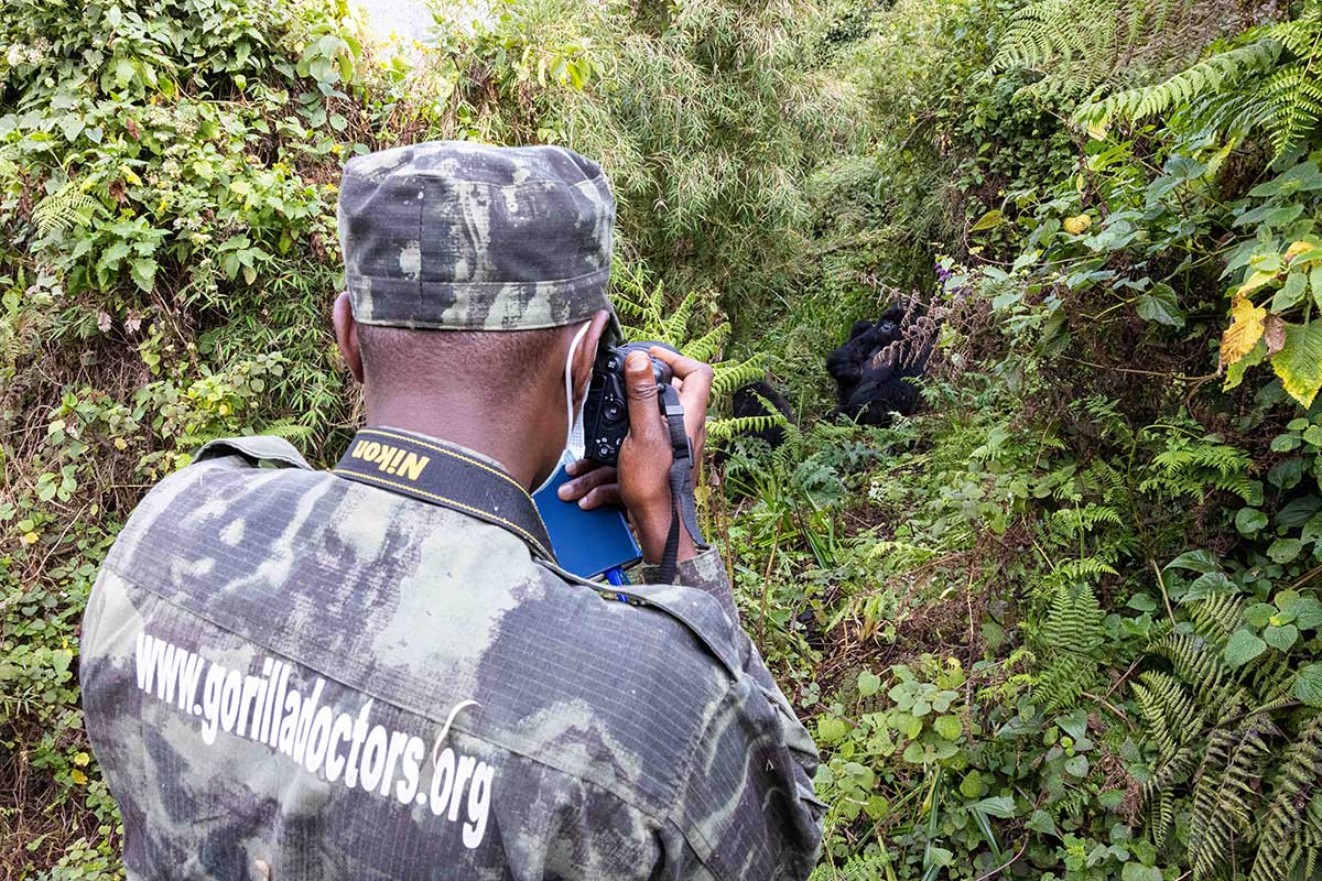 Gaspard Takes Photo of Gorilla